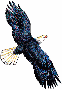 eaglelg.gif (25280 bytes)