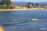 01_santacruz.jpg