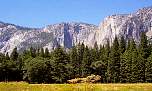 12_yosemite.jpg