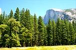 13_yosemite.jpg