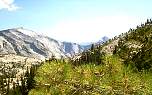 19_yosemite.jpg