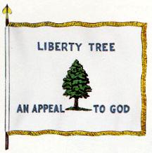 Pine_Treemed.jpg (9041 bytes)